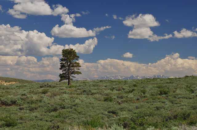 Virginia Lakes Road